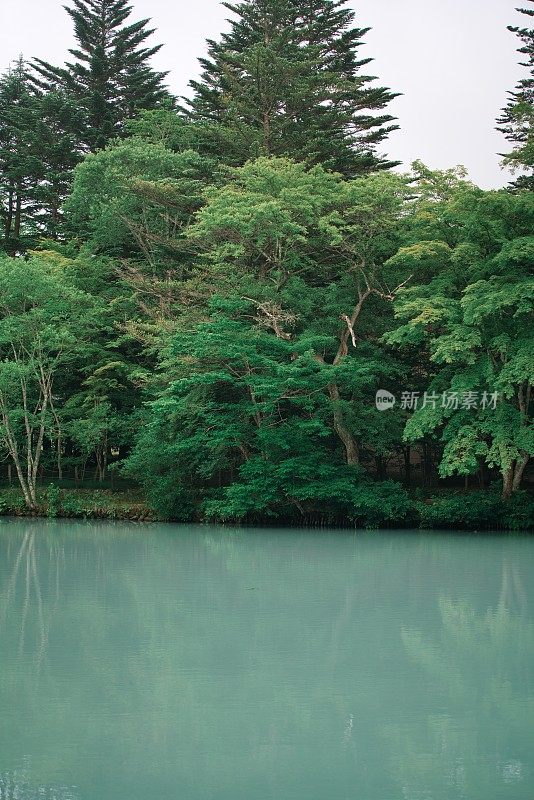 藏在卡鲁扎的Kumobaike (Kumoba庞德)